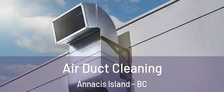  Air Duct Cleaning Annacis Island - BC