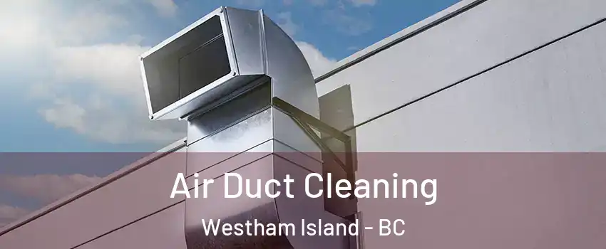  Air Duct Cleaning Westham Island - BC