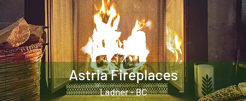  Astria Fireplaces Ladner - BC