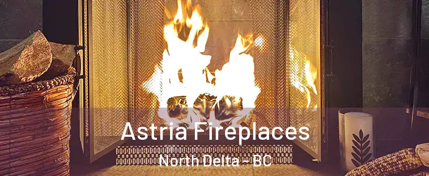  Astria Fireplaces North Delta - BC