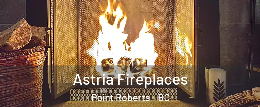  Astria Fireplaces Point Roberts - BC