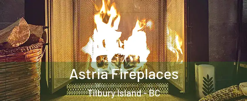  Astria Fireplaces Tilbury Island - BC
