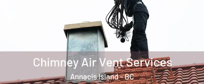  Chimney Air Vent Services Annacis Island - BC