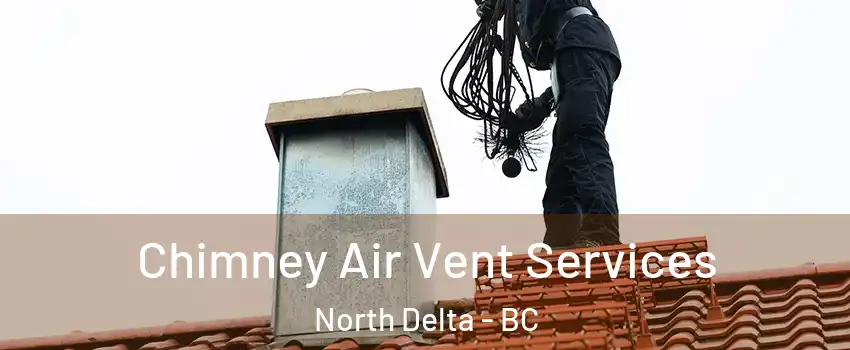  Chimney Air Vent Services North Delta - BC