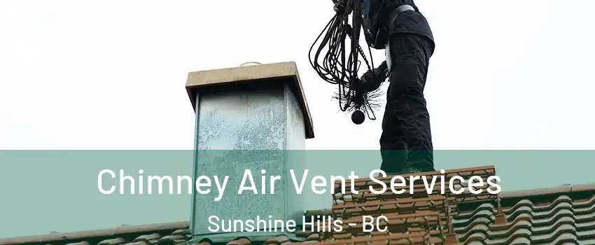  Chimney Air Vent Services Sunshine Hills - BC