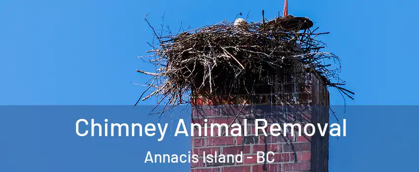Chimney Animal Removal Annacis Island - BC