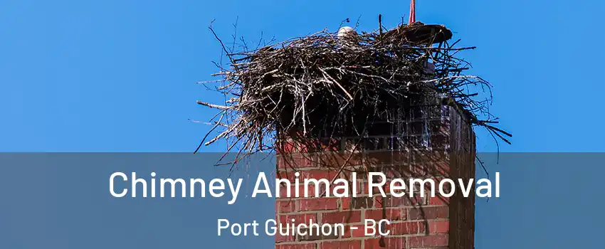 Chimney Animal Removal Port Guichon - BC