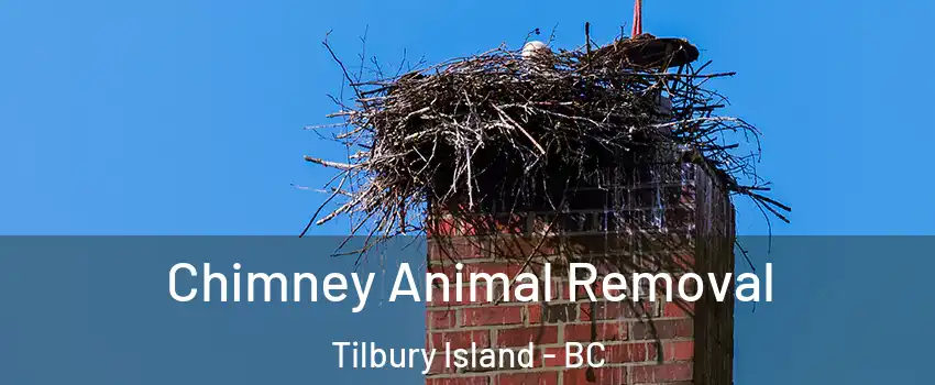  Chimney Animal Removal Tilbury Island - BC