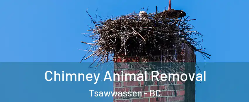 Chimney Animal Removal Tsawwassen - BC