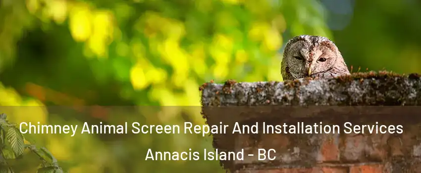  Chimney Animal Screen Repair And Installation Services Annacis Island - BC