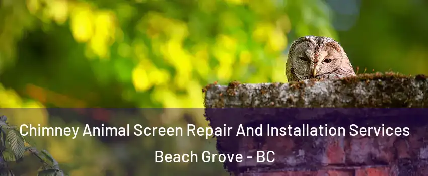  Chimney Animal Screen Repair And Installation Services Beach Grove - BC