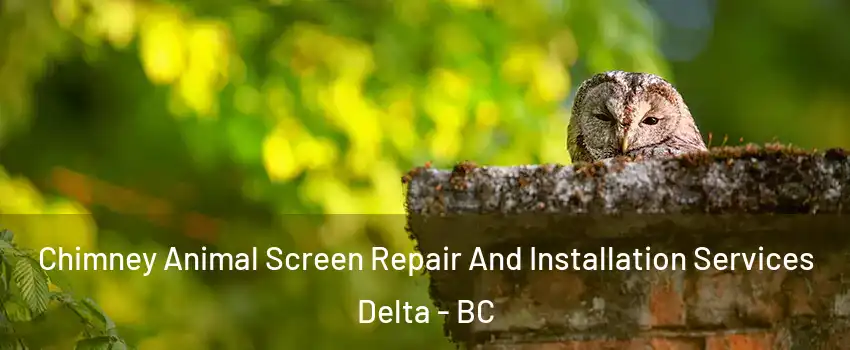  Chimney Animal Screen Repair And Installation Services Delta - BC