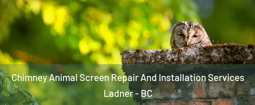  Chimney Animal Screen Repair And Installation Services Ladner - BC