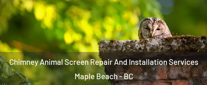  Chimney Animal Screen Repair And Installation Services Maple Beach - BC