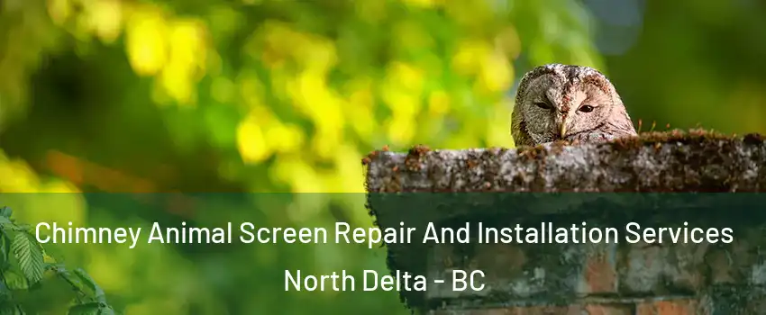  Chimney Animal Screen Repair And Installation Services North Delta - BC