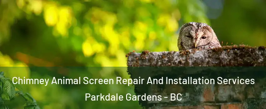  Chimney Animal Screen Repair And Installation Services Parkdale Gardens - BC