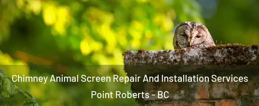  Chimney Animal Screen Repair And Installation Services Point Roberts - BC