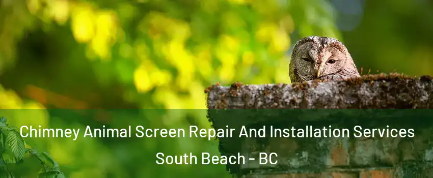  Chimney Animal Screen Repair And Installation Services South Beach - BC