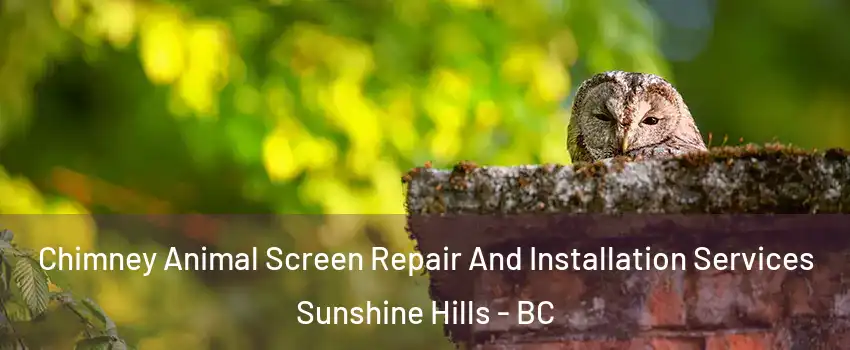  Chimney Animal Screen Repair And Installation Services Sunshine Hills - BC