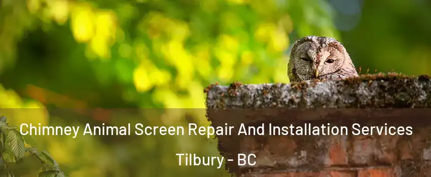  Chimney Animal Screen Repair And Installation Services Tilbury - BC