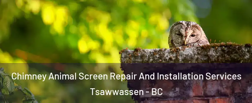  Chimney Animal Screen Repair And Installation Services Tsawwassen - BC
