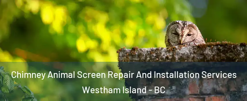  Chimney Animal Screen Repair And Installation Services Westham Island - BC