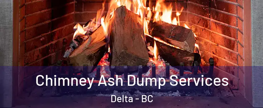  Chimney Ash Dump Services Delta - BC