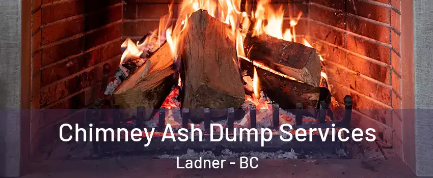  Chimney Ash Dump Services Ladner - BC