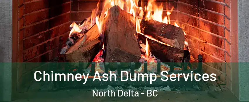  Chimney Ash Dump Services North Delta - BC