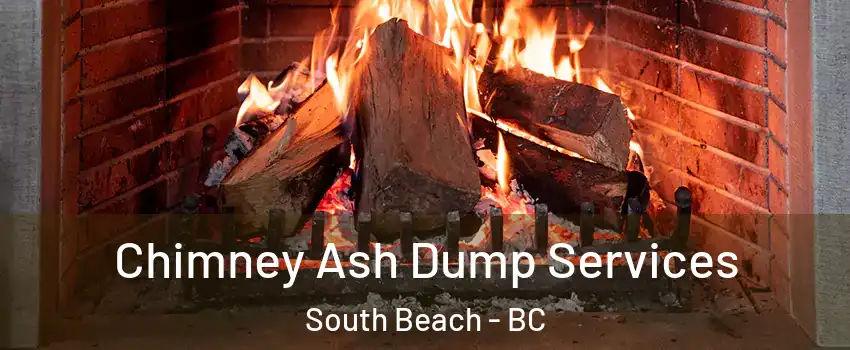  Chimney Ash Dump Services South Beach - BC