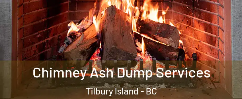  Chimney Ash Dump Services Tilbury Island - BC
