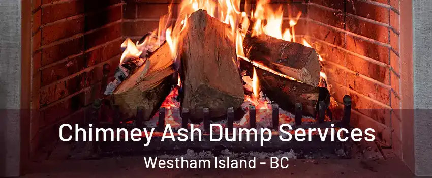  Chimney Ash Dump Services Westham Island - BC