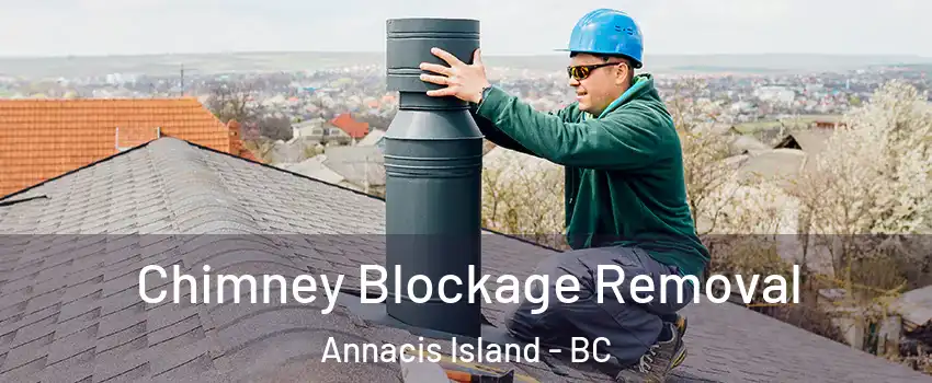  Chimney Blockage Removal Annacis Island - BC