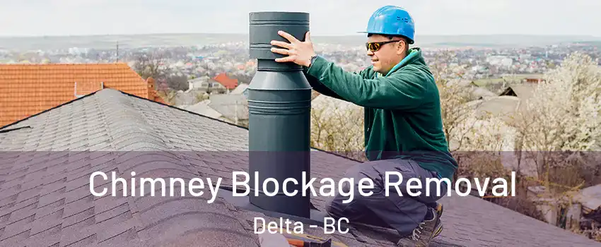  Chimney Blockage Removal Delta - BC