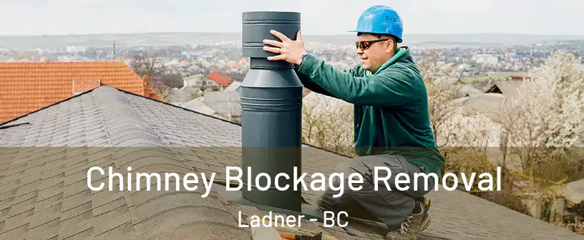 Chimney Blockage Removal Ladner - BC