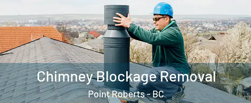  Chimney Blockage Removal Point Roberts - BC