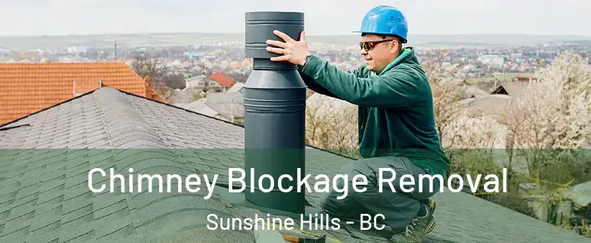  Chimney Blockage Removal Sunshine Hills - BC