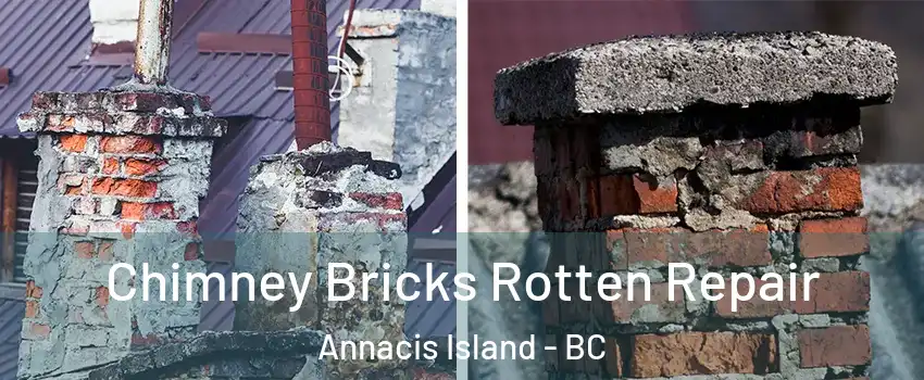  Chimney Bricks Rotten Repair Annacis Island - BC