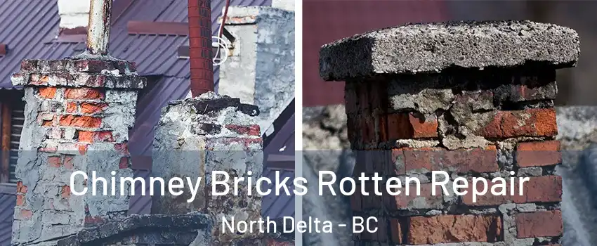  Chimney Bricks Rotten Repair North Delta - BC