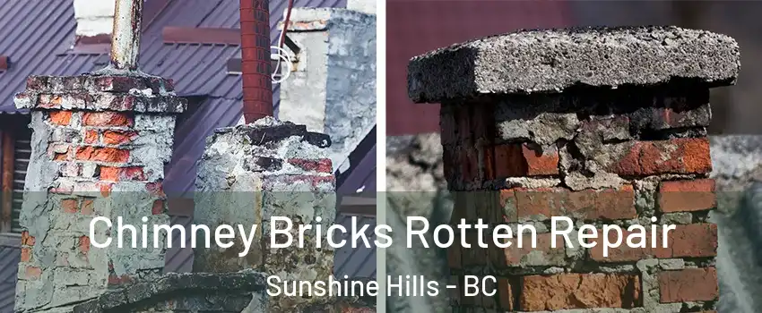  Chimney Bricks Rotten Repair Sunshine Hills - BC