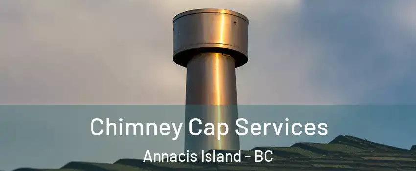  Chimney Cap Services Annacis Island - BC