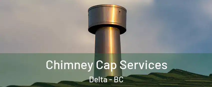  Chimney Cap Services Delta - BC