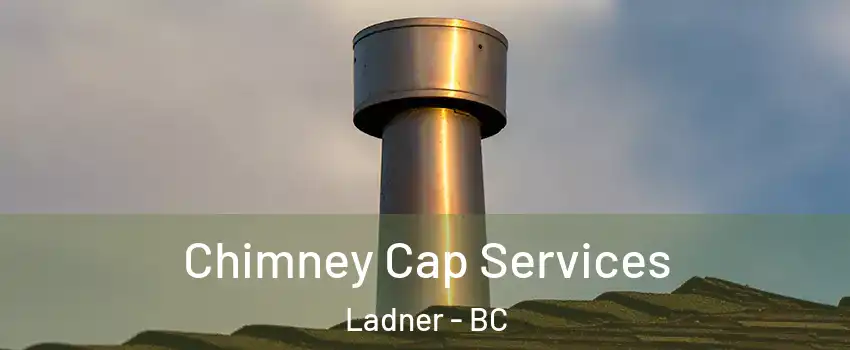  Chimney Cap Services Ladner - BC