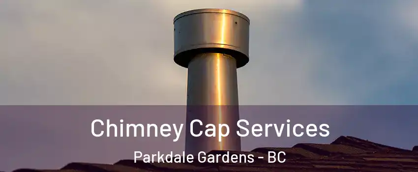  Chimney Cap Services Parkdale Gardens - BC