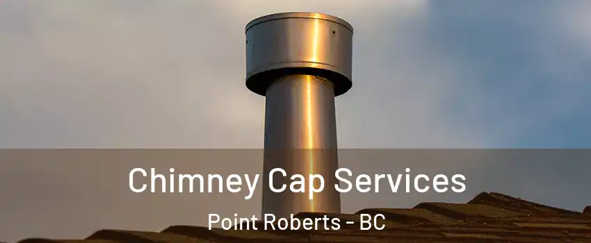  Chimney Cap Services Point Roberts - BC