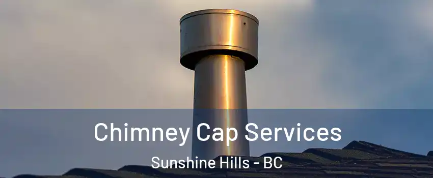  Chimney Cap Services Sunshine Hills - BC