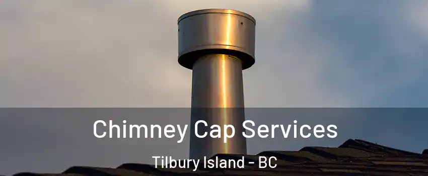  Chimney Cap Services Tilbury Island - BC