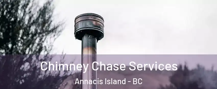  Chimney Chase Services Annacis Island - BC