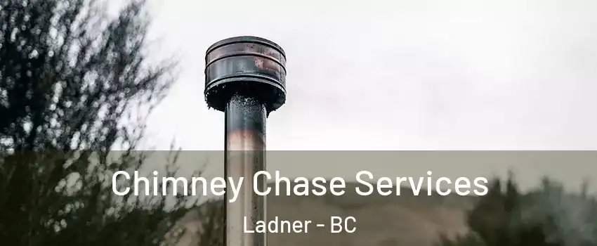  Chimney Chase Services Ladner - BC
