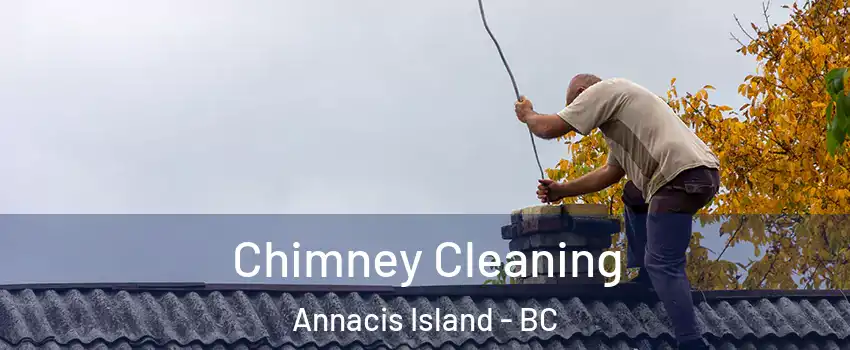 Chimney Cleaning Annacis Island - BC